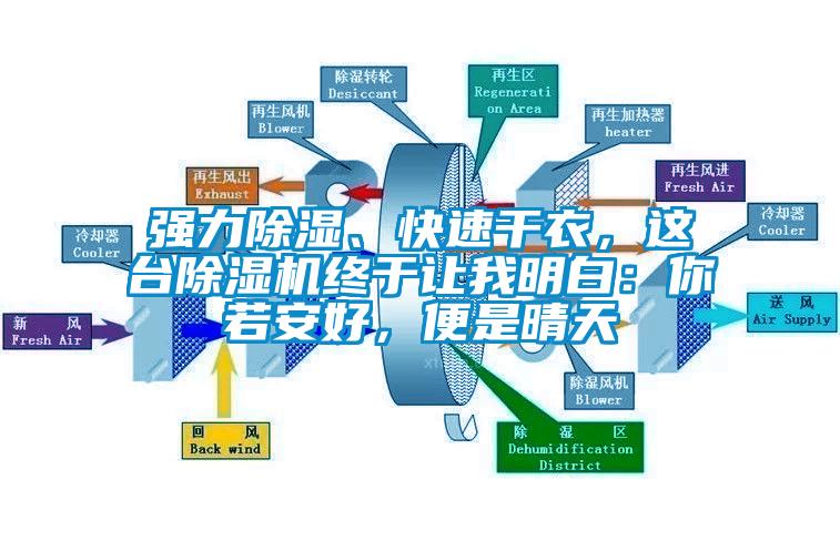 強(qiáng)力除濕、快速干衣，這臺除濕機(jī)終于讓我明白：你若安好，便是晴天