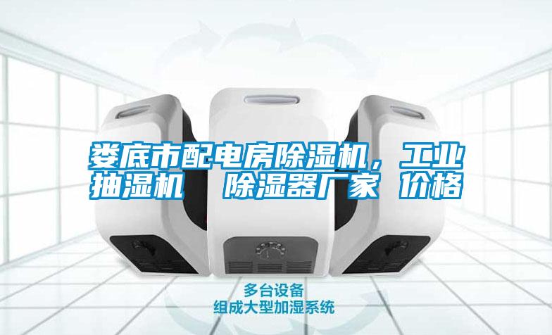 婁底市配電房除濕機(jī)，工業(yè)抽濕機(jī)  除濕器廠家 價(jià)格
