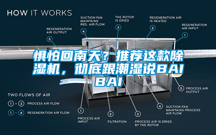 懼怕回南天？推薦這款除濕機(jī)，徹底跟潮濕說BAIBAI