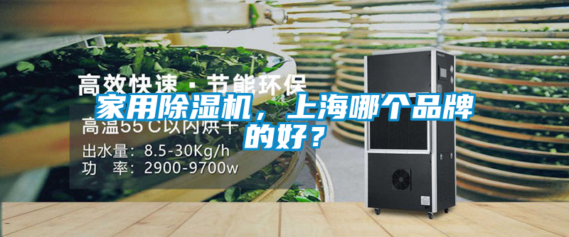 家用除濕機，上海哪個品牌的好？