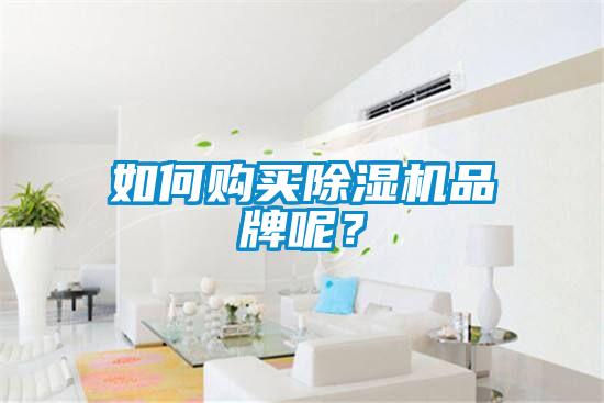 如何購(gòu)買(mǎi)除濕機(jī)品牌呢？