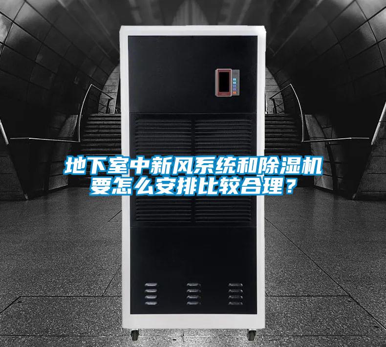 地下室中新風(fēng)系統(tǒng)和除濕機(jī)要怎么安排比較合理？