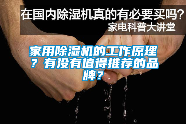 家用除濕機(jī)的工作原理？有沒(méi)有值得推薦的品牌？