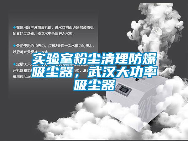 實驗室粉塵清理防爆吸塵器，武漢大功率吸塵器