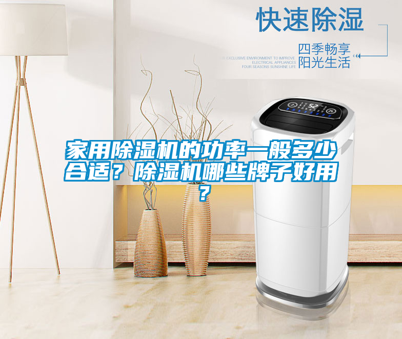 家用除濕機(jī)的功率一般多少合適？除濕機(jī)哪些牌子好用？