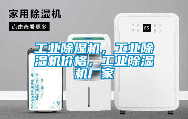 工業(yè)除濕機(jī)，工業(yè)除濕機(jī)價(jià)格，工業(yè)除濕機(jī)廠家