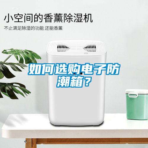如何選購電子防潮箱？