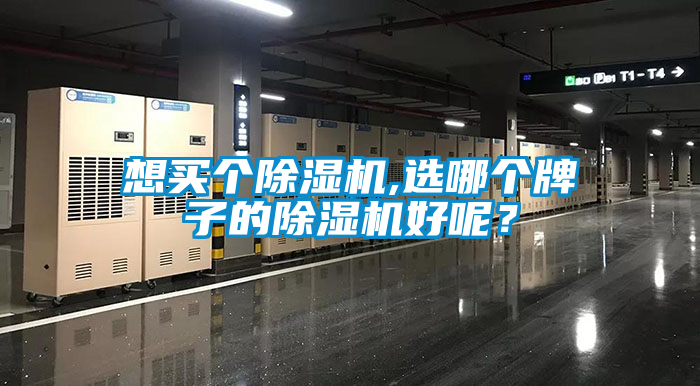 想買個除濕機,選哪個牌子的除濕機好呢？