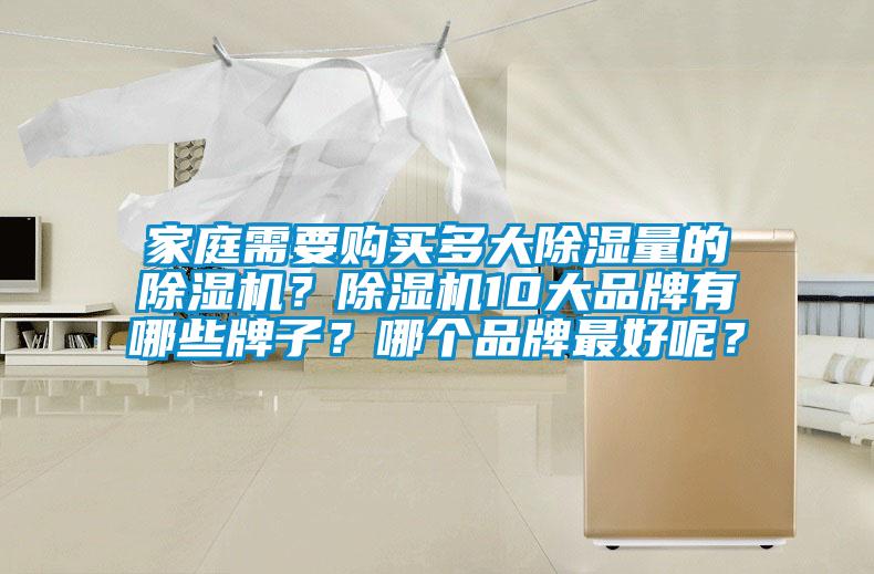家庭需要購買多大除濕量的除濕機？除濕機10大品牌有哪些牌子？哪個品牌最好呢？