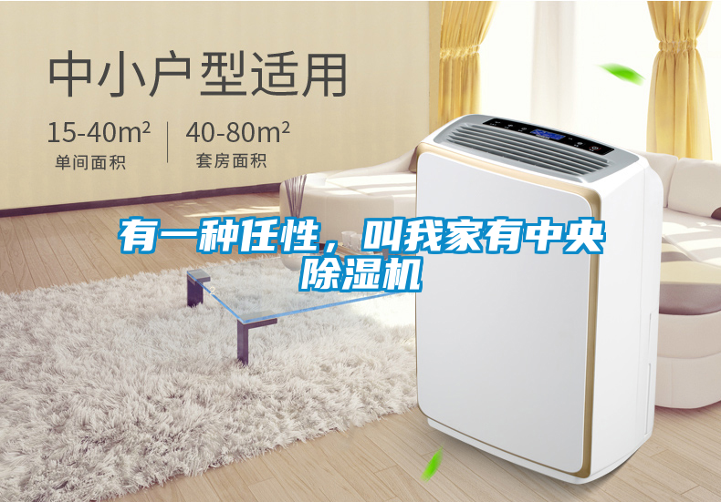 有一種任性，叫我家有中央除濕機(jī)