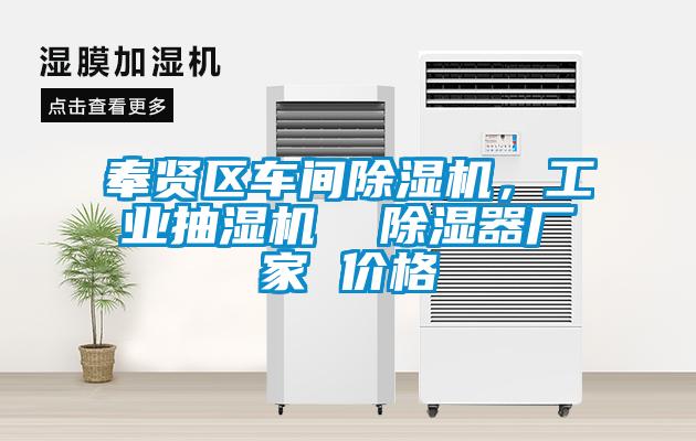 奉賢區(qū)車間除濕機，工業(yè)抽濕機  除濕器廠家 價格
