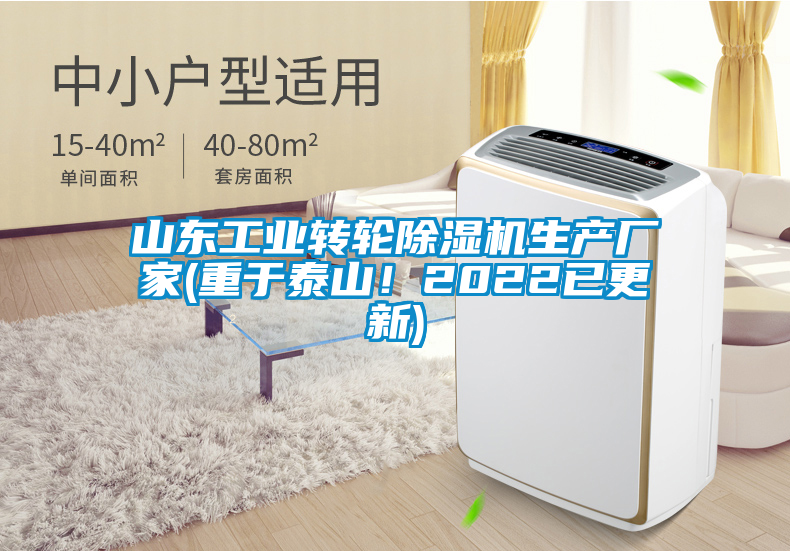 山東工業(yè)轉(zhuǎn)輪除濕機(jī)生產(chǎn)廠家(重于泰山！2022已更新)