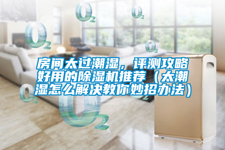 房間太過潮濕，評測攻略好用的除濕機(jī)推薦（太潮濕怎么解決教你妙招辦法）