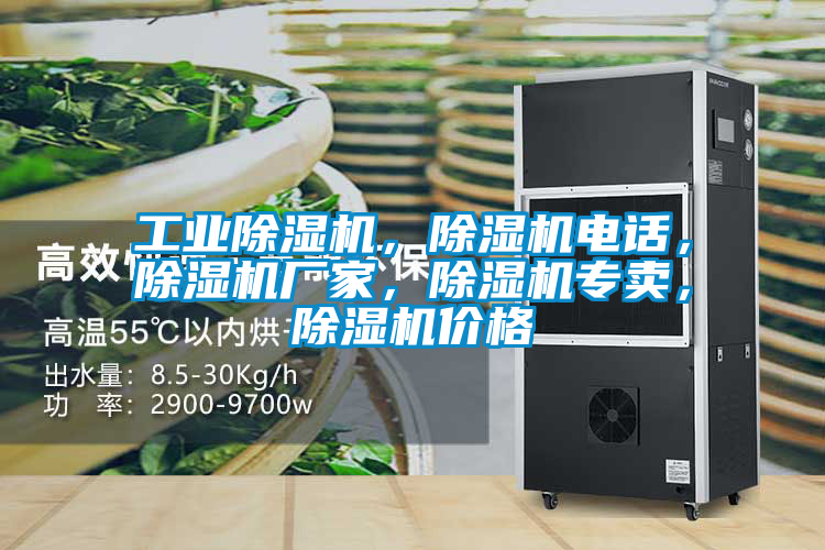 工業(yè)除濕機(jī)，除濕機(jī)電話，除濕機(jī)廠家，除濕機(jī)專賣，除濕機(jī)價(jià)格