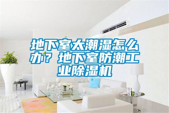 地下室太潮濕怎么辦？地下室防潮工業(yè)除濕機(jī)
