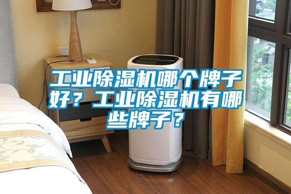 工業(yè)除濕機(jī)哪個(gè)牌子好？工業(yè)除濕機(jī)有哪些牌子？