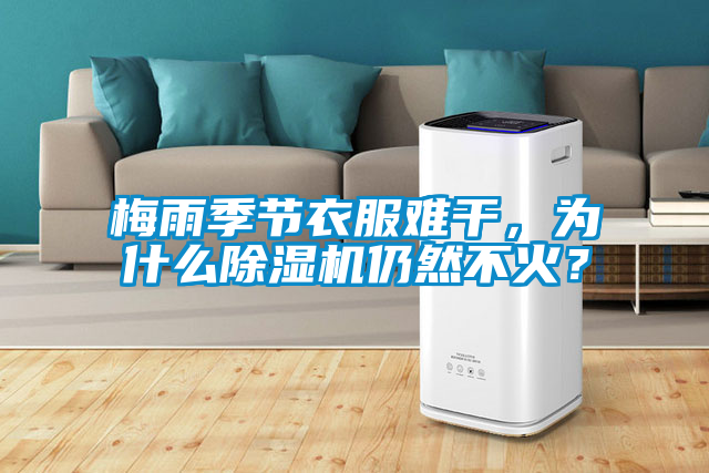 梅雨季節(jié)衣服難干，為什么除濕機仍然不火？