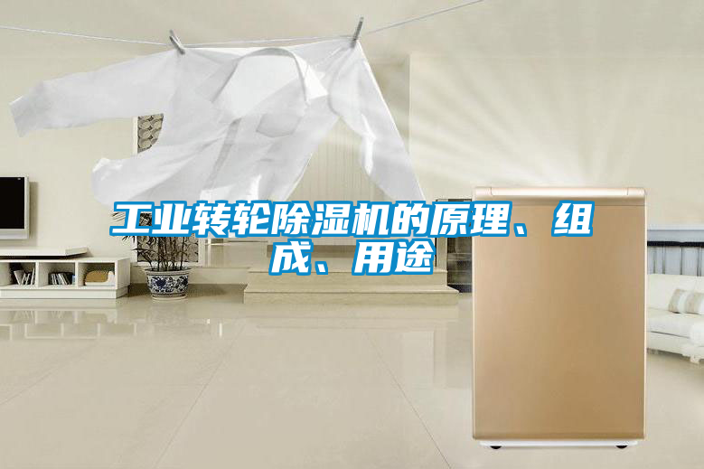 工業(yè)轉(zhuǎn)輪除濕機的原理、組成、用途