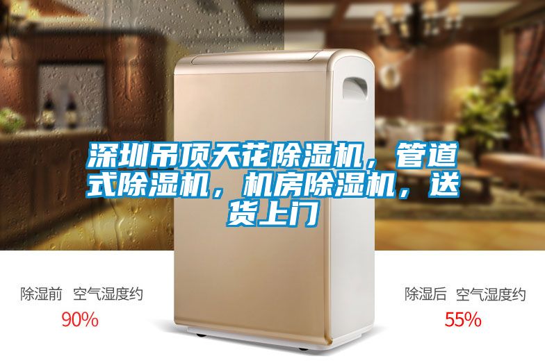 深圳吊頂天花除濕機(jī)，管道式除濕機(jī)，機(jī)房除濕機(jī)，送貨上門
