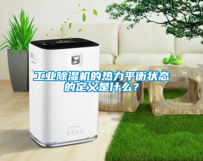 工業(yè)除濕機的熱力平衡狀態(tài)的定義是什么？