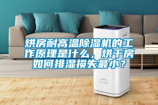 烘房耐高溫除濕機(jī)的工作原理是什么，烘干房如何排濕損失最?。?></div>
								<div   id=