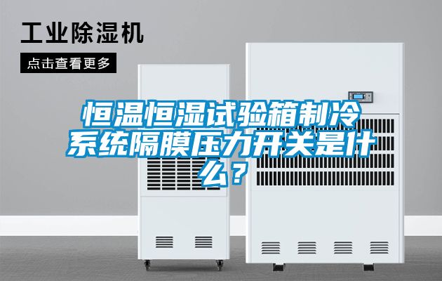 恒溫恒濕試驗箱制冷系統(tǒng)隔膜壓力開關是什么？