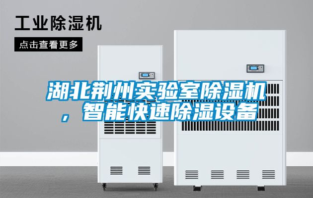 湖北荊州實驗室除濕機，智能快速除濕設(shè)備