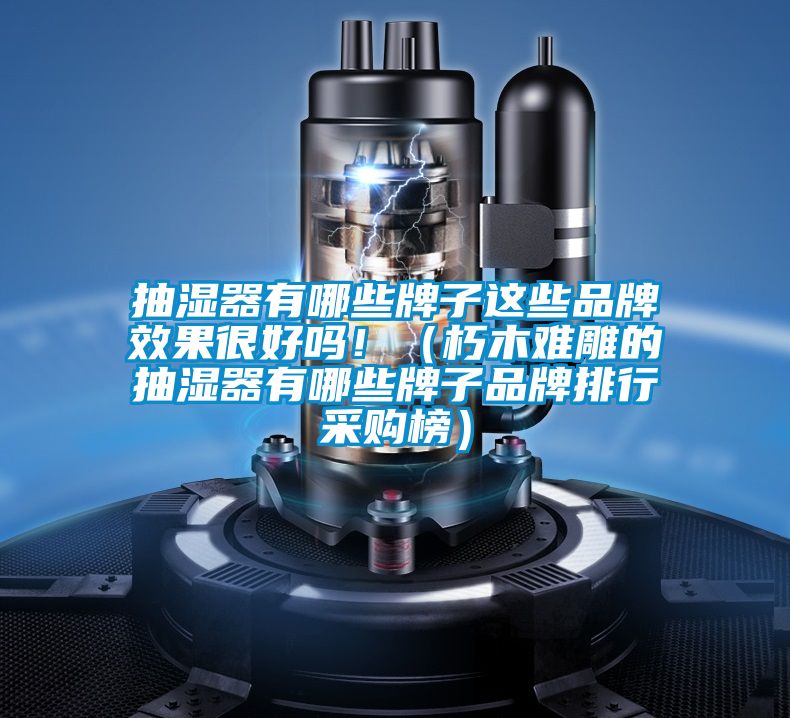 抽濕器有哪些牌子這些品牌效果很好嗎?。ㄐ嗄倦y雕的抽濕器有哪些牌子品牌排行采購榜）