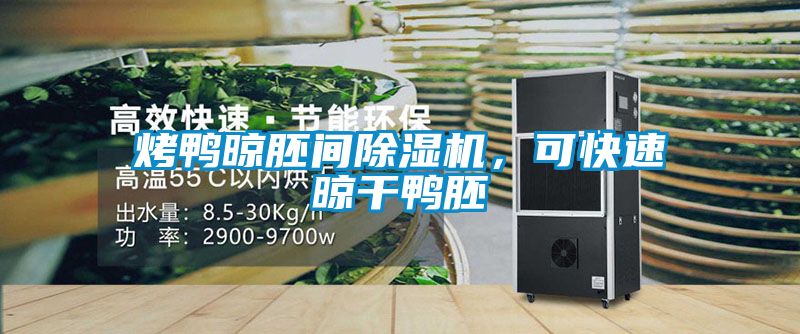 烤鴨晾胚間除濕機，可快速晾干鴨胚