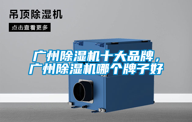 廣州除濕機(jī)十大品牌，廣州除濕機(jī)哪個牌子好
