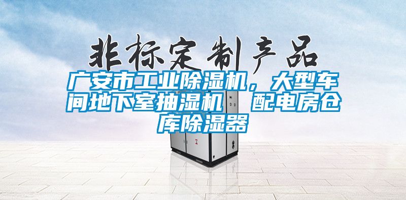 廣安市工業(yè)除濕機，大型車間地下室抽濕機  配電房倉庫除濕器