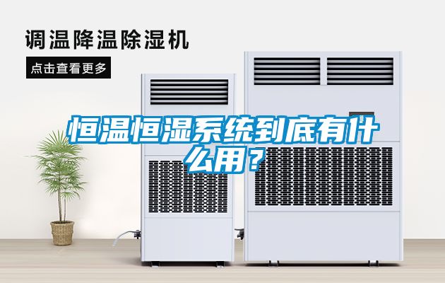 恒溫恒濕系統(tǒng)到底有什么用？