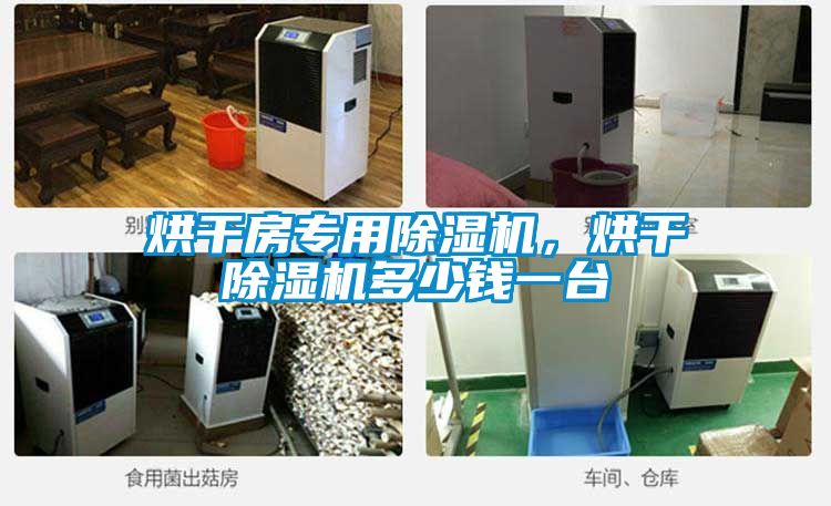 烘干房專用除濕機(jī)，烘干除濕機(jī)多少錢一臺