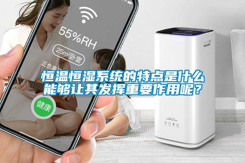 恒溫恒濕系統(tǒng)的特點(diǎn)是什么能夠讓其發(fā)揮重要作用呢？