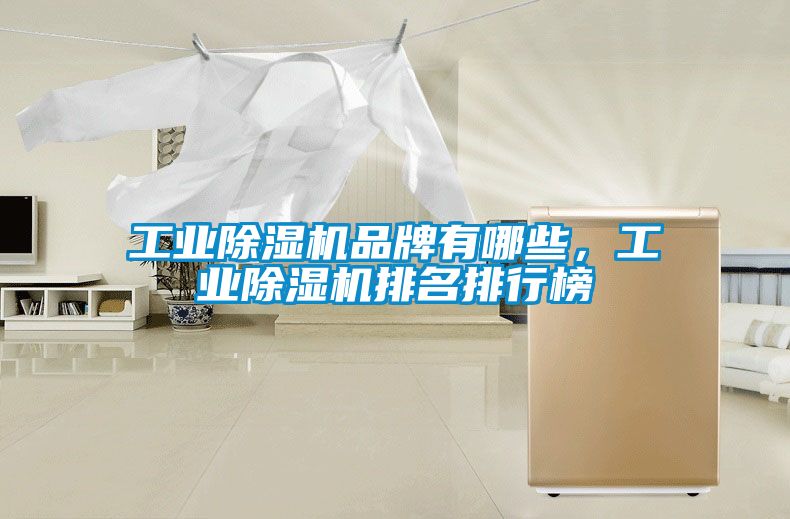 工業(yè)除濕機品牌有哪些，工業(yè)除濕機排名排行榜