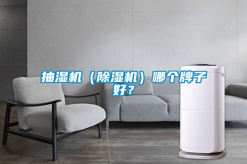 抽濕機（除濕機）哪個牌子好？