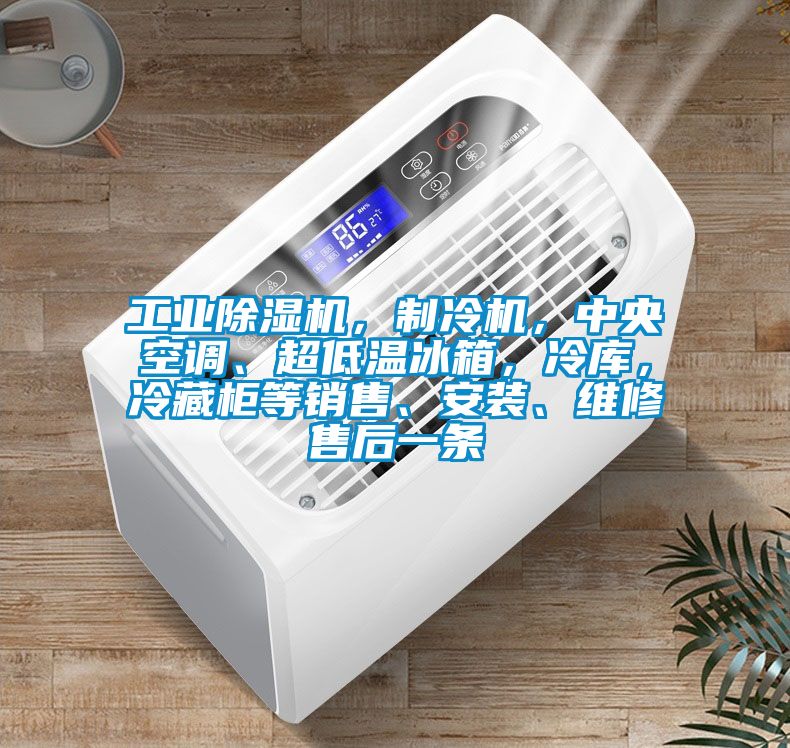 工業(yè)除濕機，制冷機，中央空調(diào)、超低溫冰箱，冷庫，冷藏柜等銷售、安裝、維修售后一條