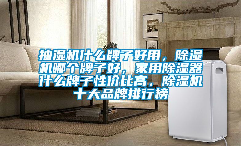 抽濕機(jī)什么牌子好用，除濕機(jī)哪個(gè)牌子好，家用除濕器什么牌子性?xún)r(jià)比高，除濕機(jī)十大品牌排行榜
