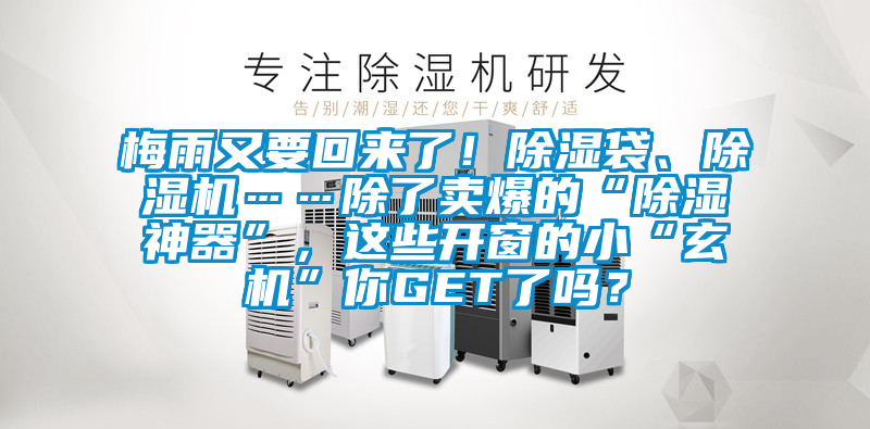 梅雨又要回來了！除濕袋、除濕機……除了賣爆的“除濕神器”，這些開窗的小“玄機”你GET了嗎？
