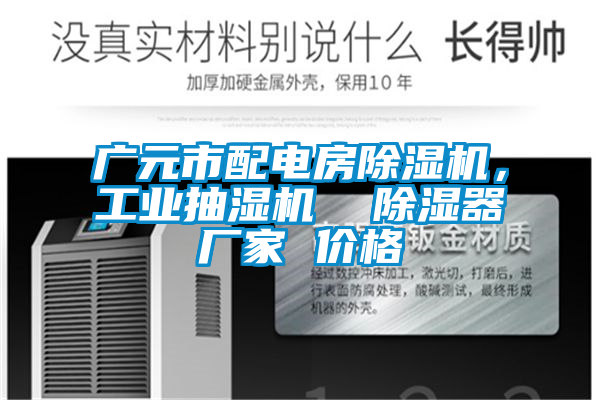 廣元市配電房除濕機，工業(yè)抽濕機  除濕器廠家 價格