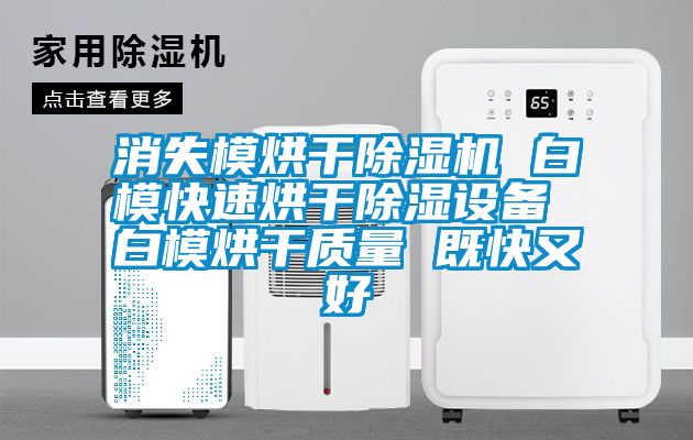 消失模烘干除濕機(jī) 白?？焖俸娓沙凉裨O(shè)備 白模烘干質(zhì)量 既快又好