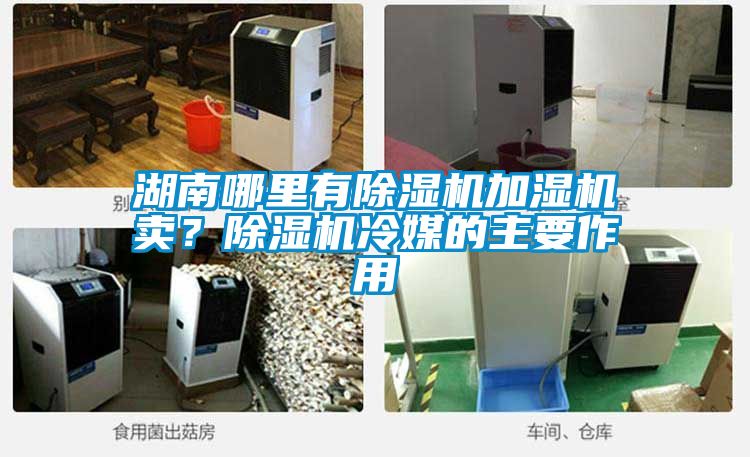 湖南哪里有除濕機(jī)加濕機(jī)賣？除濕機(jī)冷媒的主要作用