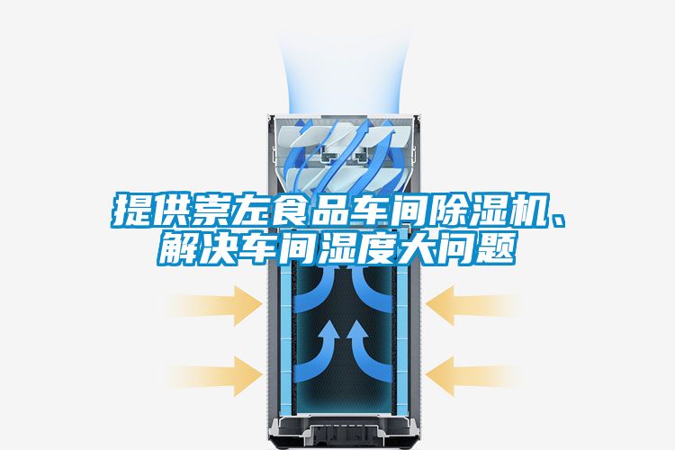 提供崇左食品車間除濕機(jī)、解決車間濕度大問題