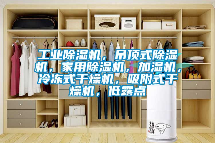 工業(yè)除濕機，吊頂式除濕機，家用除濕機，加濕機，冷凍式干燥機，吸附式干燥機，低露點