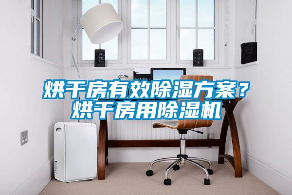 烘干房有效除濕方案？烘干房用除濕機(jī)