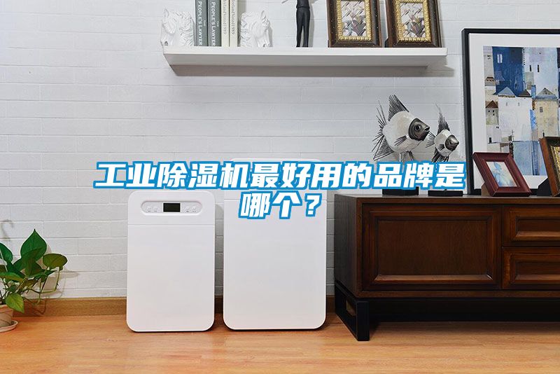 工業(yè)除濕機(jī)最好用的品牌是哪個？