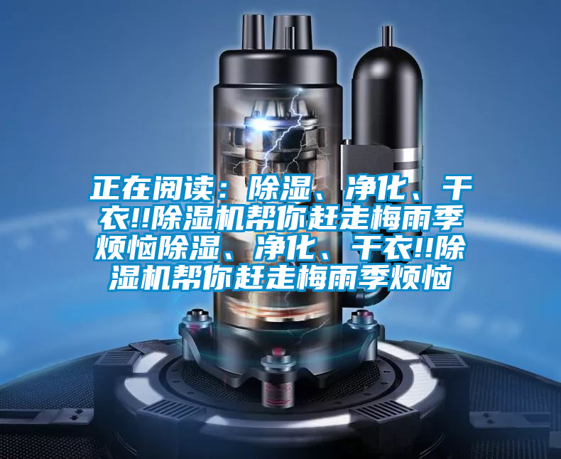 正在閱讀：除濕、凈化、干衣!!除濕機幫你趕走梅雨季煩惱除濕、凈化、干衣!!除濕機幫你趕走梅雨季煩惱