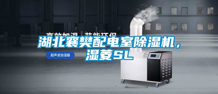 湖北襄樊配電室除濕機，濕菱SL