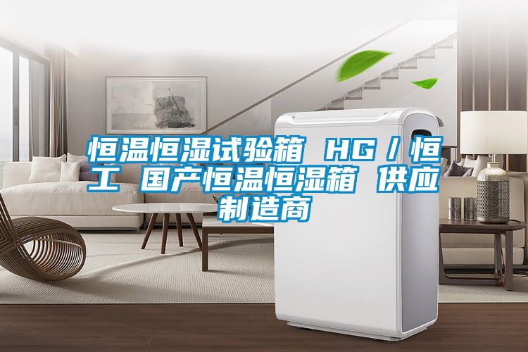 恒溫恒濕試驗箱 HG/恒工 國產(chǎn)恒溫恒濕箱 供應(yīng)制造商
