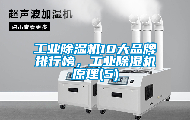 工業(yè)除濕機10大品牌排行榜，工業(yè)除濕機原理(5)